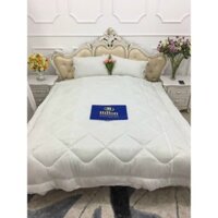 Ruột chăn trần Bông tấm hoặc Phao cho các bộ chăn ga gối Poly cotton hoặc Đũi