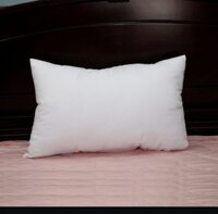 RUỘT GỐI 30×50