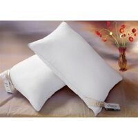 Ruột gối công ty