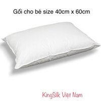 Ruột gối đầu dành cho bé yêu,giúp bé ngủ ngon hơn.Giá cho 01 sản phẩm size 40x60