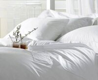 Ruột gối hơi cao cấp Vikona 45 x 45cm