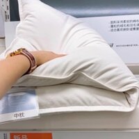 Ruột Gối ikea 1 cặp