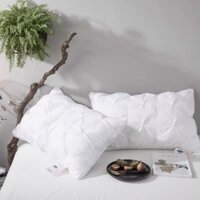 Ruột Gối Lông Ngỗng Tự Nhiên Nhập Khẩu Cao Cấp