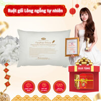 Ruột gối Lông ngỗng tự nhiên Lavish Silk - Nhiều kích thước