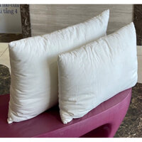 🌺🌺🌺Ruột gối nằm 50x70 HIKOSEN CARA🌷🌷🐣