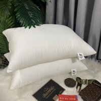 Ruột Gối Nằm Cao Cấp size 50*70cm - 48x74cm ( hoặc 45x65cm)