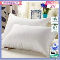 Ruột Gối  Nằm Ép Hơi 50×70 Phồng To