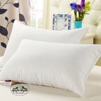 Ruột  Gối Nằm  Gòn Bi(50×70)