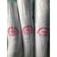 Ruột Gối Ôm Bông Hạt Cao Cấp 100cm x 22 cm