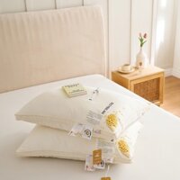 ruột gối, ruột gối nằm, lõi gối,ruột gối hơi, ruột gối chống bẹp,ruột gối 50x70,ruột gối tencel bông đậu nành