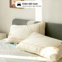 Ruột Gối Tencel Lông Vũ France Thêu may tinh tế từng đường nét Ruột Gối Lông Vũ Cao Cấp kích thước 50x70