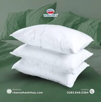 Ruột Gối Xe Khách – Xe Giường Nằm