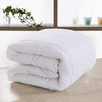 Ruột Mền Loại Dày Ruột Chăn Bông Trắng Tinh Khiết Kích Thước 1m9x2m1