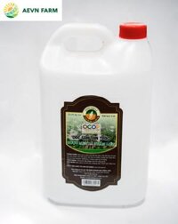 Rượu men lá can 5 lít