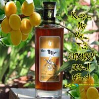 Rượu Mơ Yên Tử Luxury 14%vol chai 500ml –  rượu mơ vàng Việt Nam