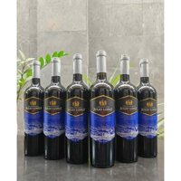 Rượu vang Chile Julio Lopez Syrah 750ml (nhãn xanh)