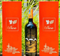 Rượu vang đỏ Agua DIVINA Cabernet Sauvignon Chile 14%vol 750ml x 6 chai