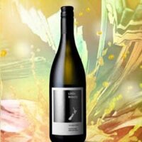 Rượu vang Little Beauty Sauvignon Blanc New Zealand chai 750 ml x 6 chai với 13%vol nhập khẩu