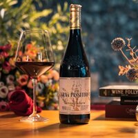 Rượu vang Ý Gran Passitivo Appassimento Primitivo 750ml