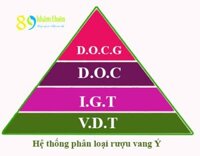 RƯỢU VANG Ý những kiến thức chung với thông tin cơ bản va đầy đủ nhất về rượu vang ý