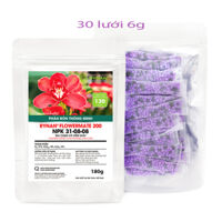 Rynan 200 NPK 31-08-08 Kích chồi, Tăng Trưởng Cây - 30 Túi x 6g 180g