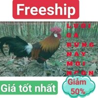 s 50m Lưới bẫy gà rừng ,cao 5m viền cước bấm chì, lưới dù thái màu đen tàn hình đã làm hoàn chỉnh.