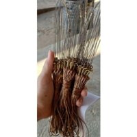 s Giò bẫy gà rừng chân đồng khoan 3 lỗ siêu bén. MIỄN PHÍ SHIP