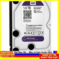S Rẻ Western Purple 1TB dòng ổ cứng chuyên dụng cho camera bh 36t.
