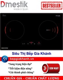 Bếp điện từ Dmestik ES721 DKT