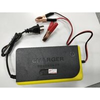 SẠC ĂC QUY 12V-20Ah
