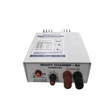 Sạc ắc quy Hải Hà khử sunfat cho binh 6V, 12v