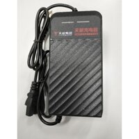 SẠC ẮC QUY THIÊN NĂNG 60V-20Ah