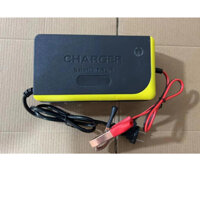 Sạc kẹp ác quy 12V - 5ah -- 100ah tự ngắt chống phồng