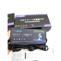 Sạc Phần Trăm Pin Xe Điện BLQ Tự Động Ngắt Chống Phồng Bình