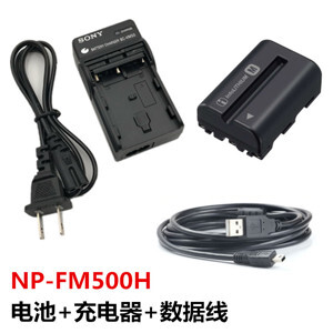 Sạc pin Pisen FM500H