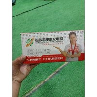 Sạc Xe Đạp Điện 48v20Ah Sạc Zin Chính Hãng Theo Xe 4 Bình 12V