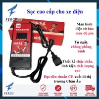 Sạc Xe Đạp Điện Xe Máy Điện 72V 20-24Ah (6 bình lớn) - Màn Hình Điện Tử, Tự Ngắt, Chống Phồng Bình