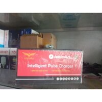 sạc xe điện 12A