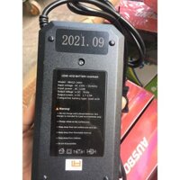 sạc xe điện 48v 12ah chân chụp