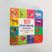 Sách  101 First Words 101 Từ Đầu Tiên bộ 6 quyển - Thực vật - Động vật - Giao thông - Đồ dùng thân thiết - Bảng chữ cái - Hình dạng màu sắc - Động vật