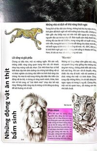 Sách 3D Những Loài Thú Lớn Họ Mèo