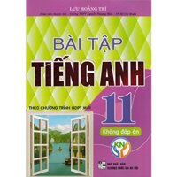 Sách - Bài tập Tiếng Anh 11 - Không đáp án (Kết nối)