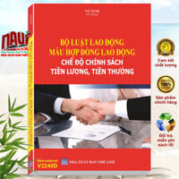 Sách Bộ Luật Lao Động - Mẫu Hợp Đồng Lao Động - Chế Độ Chính Sách Tiền Lương, Tiền Thưởng - V2240D