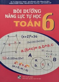 Sách - Bồi dưỡng năng lực tự học Toán 6