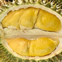 [SẠCH- CHÍN CÂY] Sầu Riêng Ri6 Chín Cây Tại Vườn 100% Hữu Cơ Cơm Vàng Hạt Lép Trái Từ 2kg- 5kg Bao Ăn Không Sượng Ko Lạt