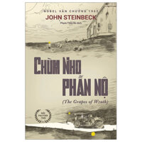 Sách - Chùm Nho Phẫn Nộ