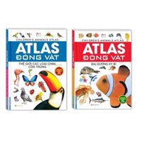 Sách - Combo 2 cuốn Atlas động vật - Thế giới các loài chim, côn trùng + Đại dương kỳ bí