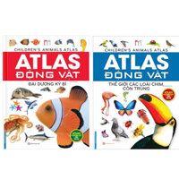 Sách-Combo 2c Atlas động vật - Thế giới các loài chim, côn trùng + Đại dương kỳ bí