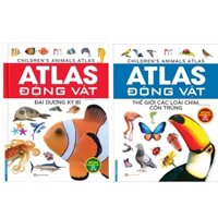 Sách-Combo 2c Atlas động vật - Thế giới các loài chim, côn trùng + Đại dương kỳ bí mt