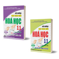 Sách - Combo Bồi Dưỡng Học Sinh Giỏi Hoá Học 11 Theo Chuyên Đề Hoá Học Hữu Cơ + Hoá Học Đại Cương Và Vô Cơ